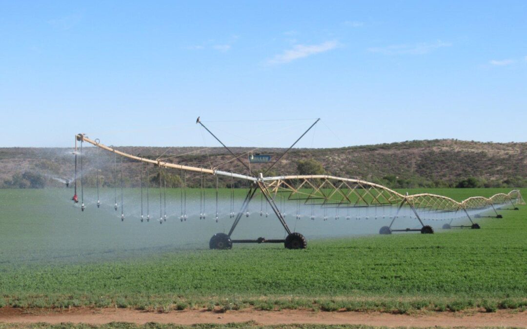 Farm planning prioritised in Prieska