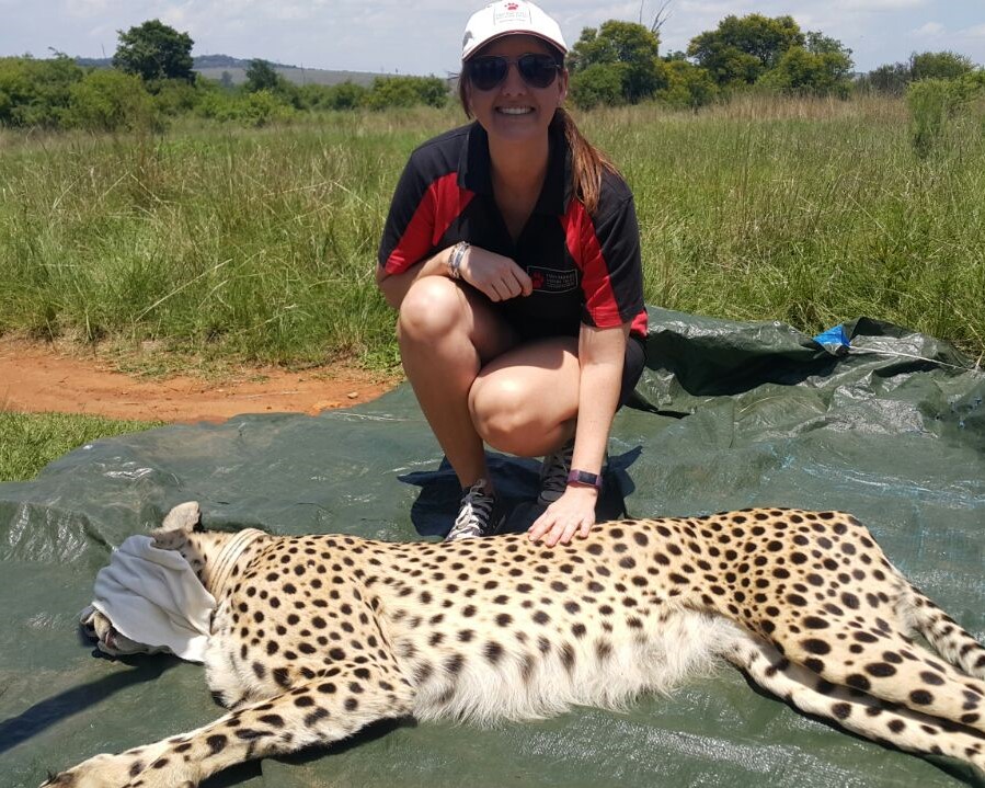 Inspiring young scientists – the EWT Conservation Science Unit in action