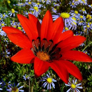 A legacy of land: Papkuilsfontein Protected Environment