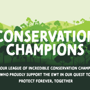 Conservation Champion: KLB Engineering