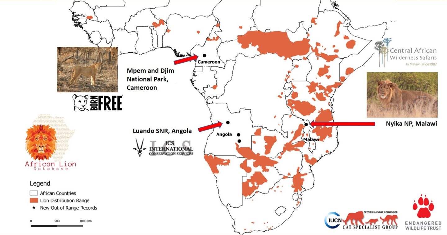 Map of African Lion distribution