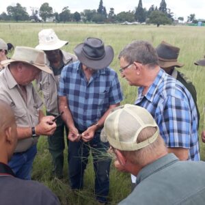 A powerful partnership leading the way for conservation in Gauteng