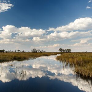 Flooding enhances the vulnerability of wetland-dependent communities in south western Uganda