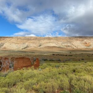 Finding fairies where biomes collide