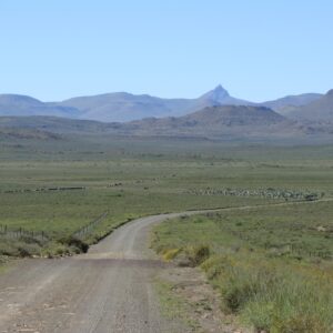 Karoo Forever – In celebration of knowledge