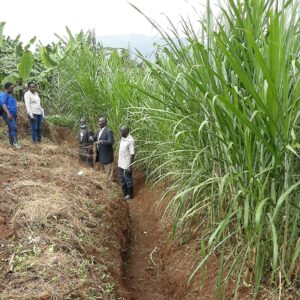 Fighting landslides in Rukia District, Uganda