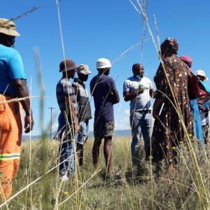 A brighter and more sustainable future motivating Cedarville farmers to collaborate