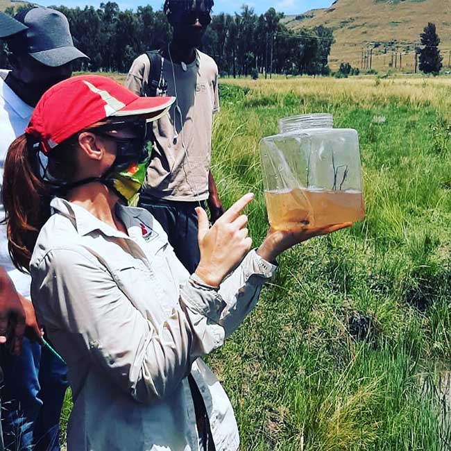 learning what amphibians are in the field