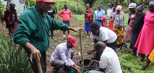 communities using climate-smart agriculture to conserve cranes