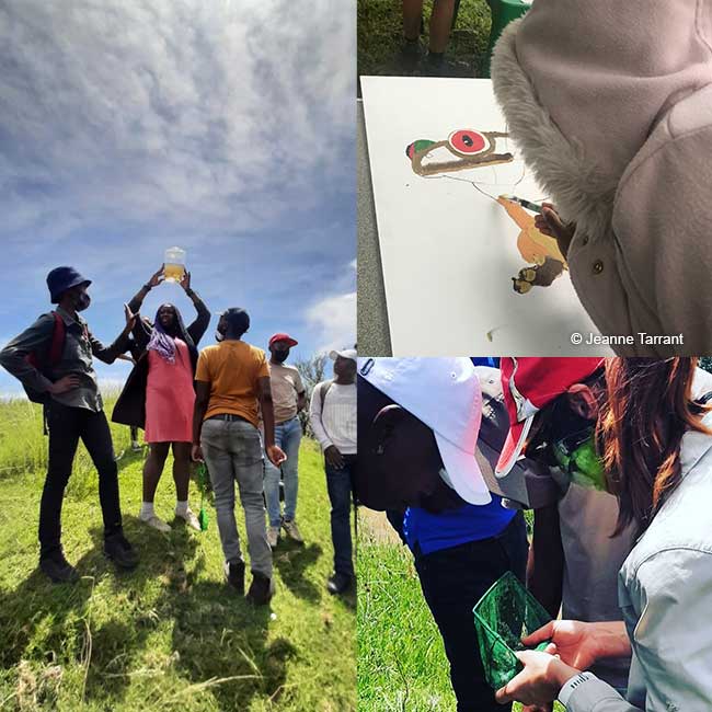 People learning about frogs in a field