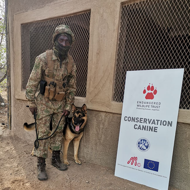 We have dogs in the fight against poaching