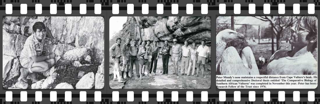 Filmstrip of members of the vulture study group in 1976