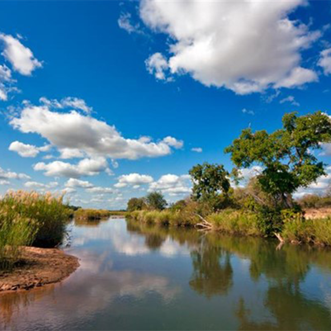 Strategic Water Sources key to water security in South Africa: Endangered Wildlife Trust