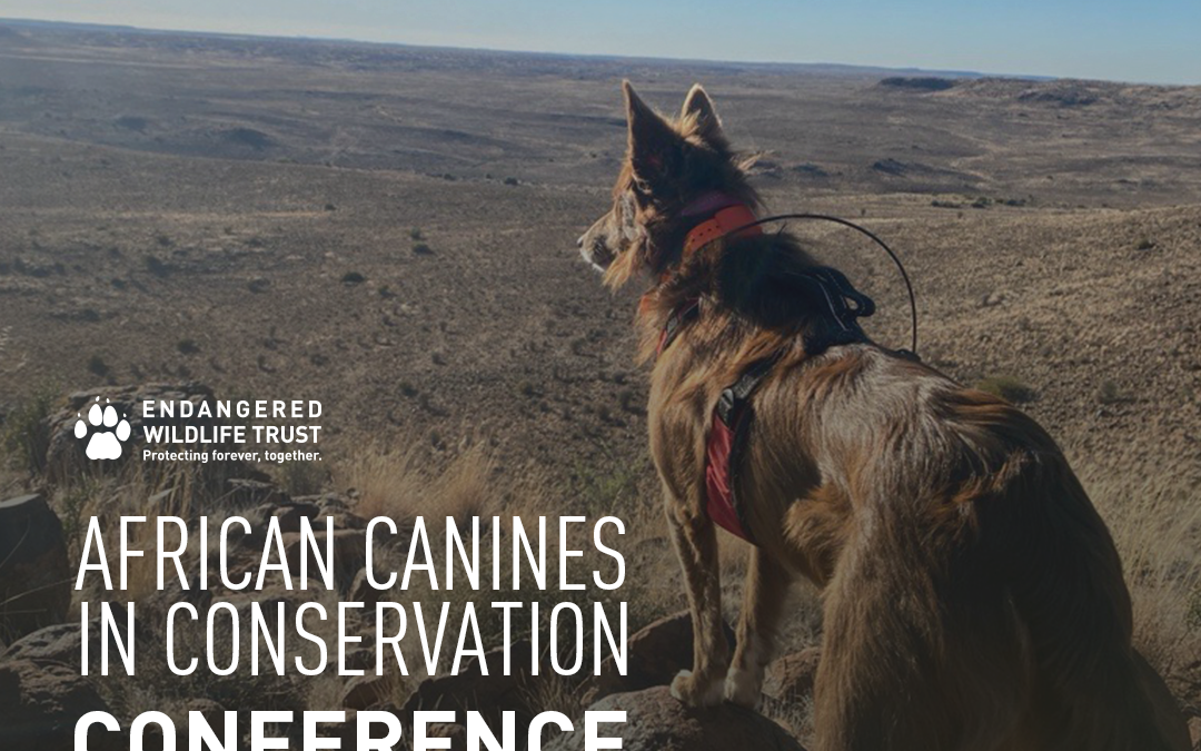 African Canines in Conservation Conference