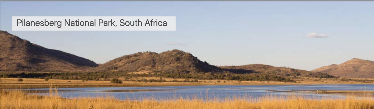 ewt-pilanesberg