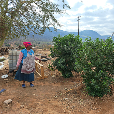 Safeguarding Medicinal Plants for Future Generations