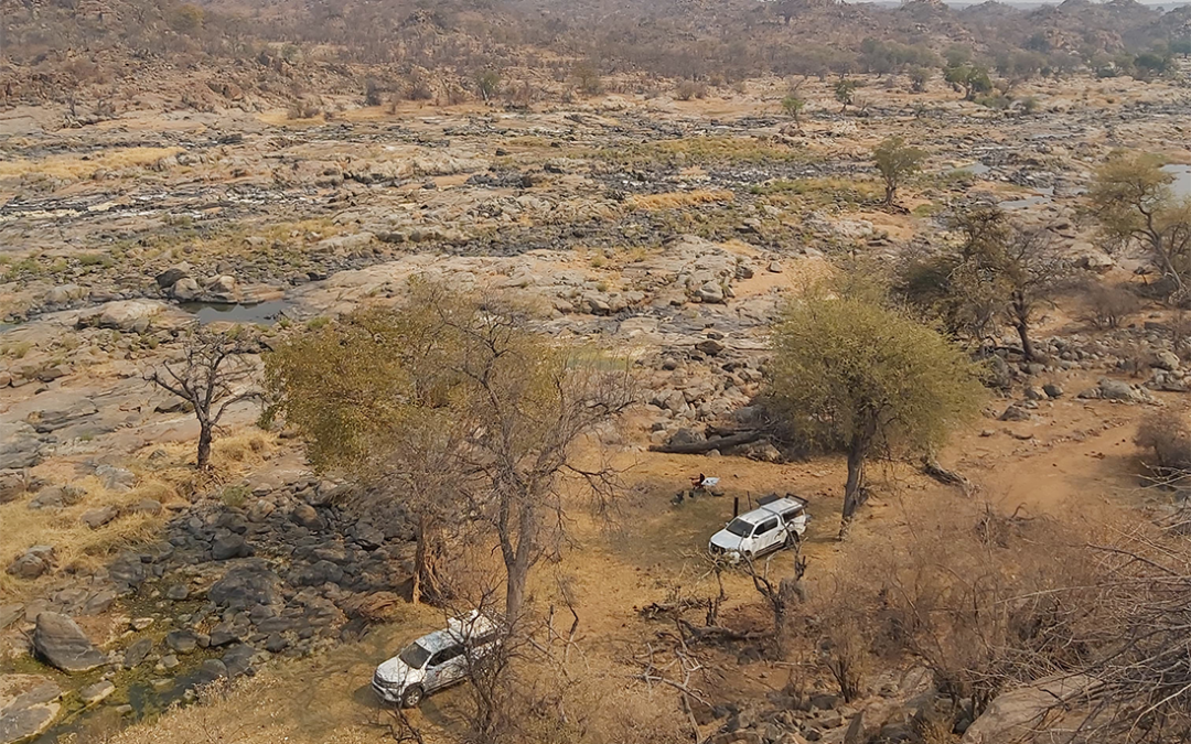 Determining how Elephant impact on Vulture breeding sites in the Limpopo River valley: new research