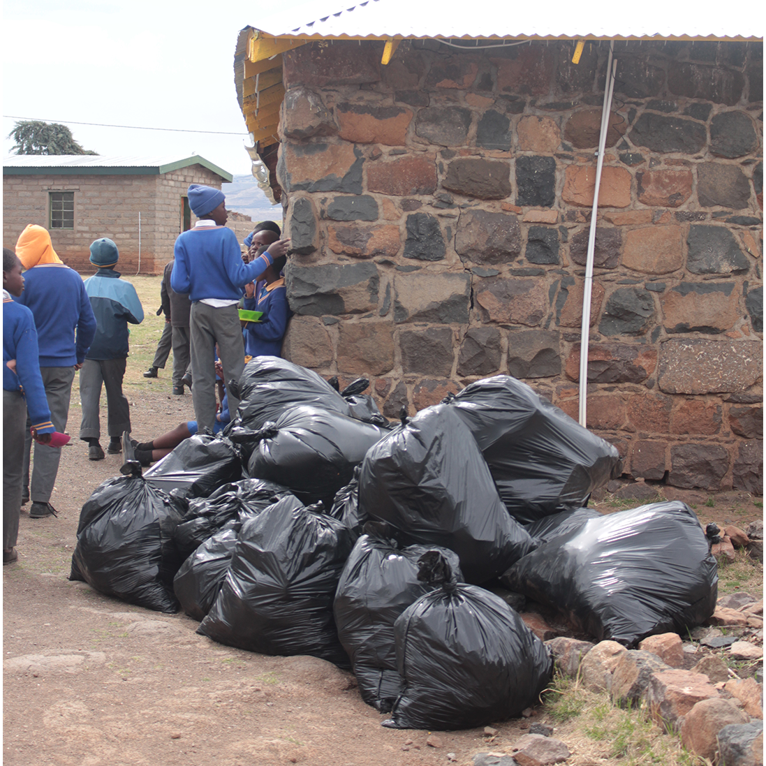 Small Hands, Big Impact: A Greener Future for Lesotho