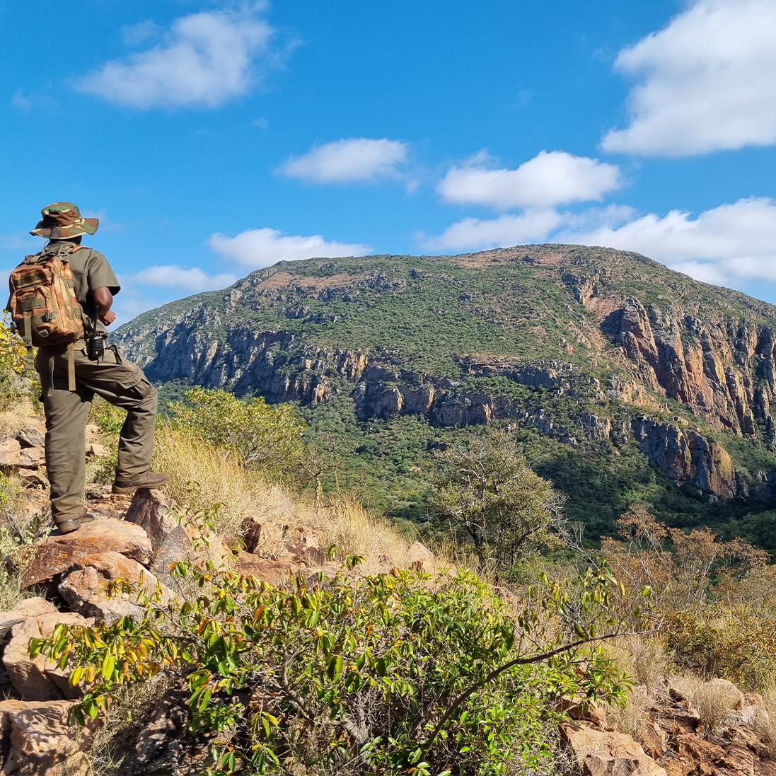 New nature reserve in the Soutpansberg Mountains contributes to South Africa’s conservation commitments