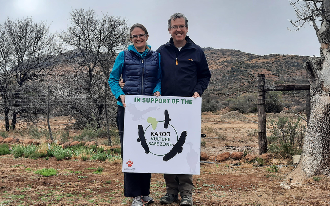 Taking Flight over the Karoo Vulture Safe Zone: 5 years later