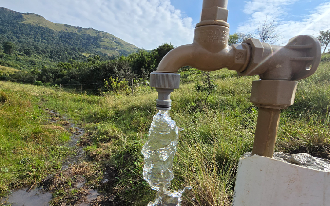 Communities and Cranes benefit from Spring Protection project in the KwaZulu-Natal Midlands