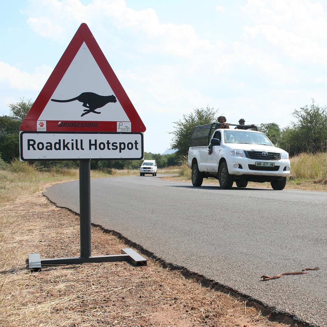 Roadkill remains a problem along South Africa’s major transport corridors