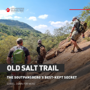 Old Salt Trail - 2025