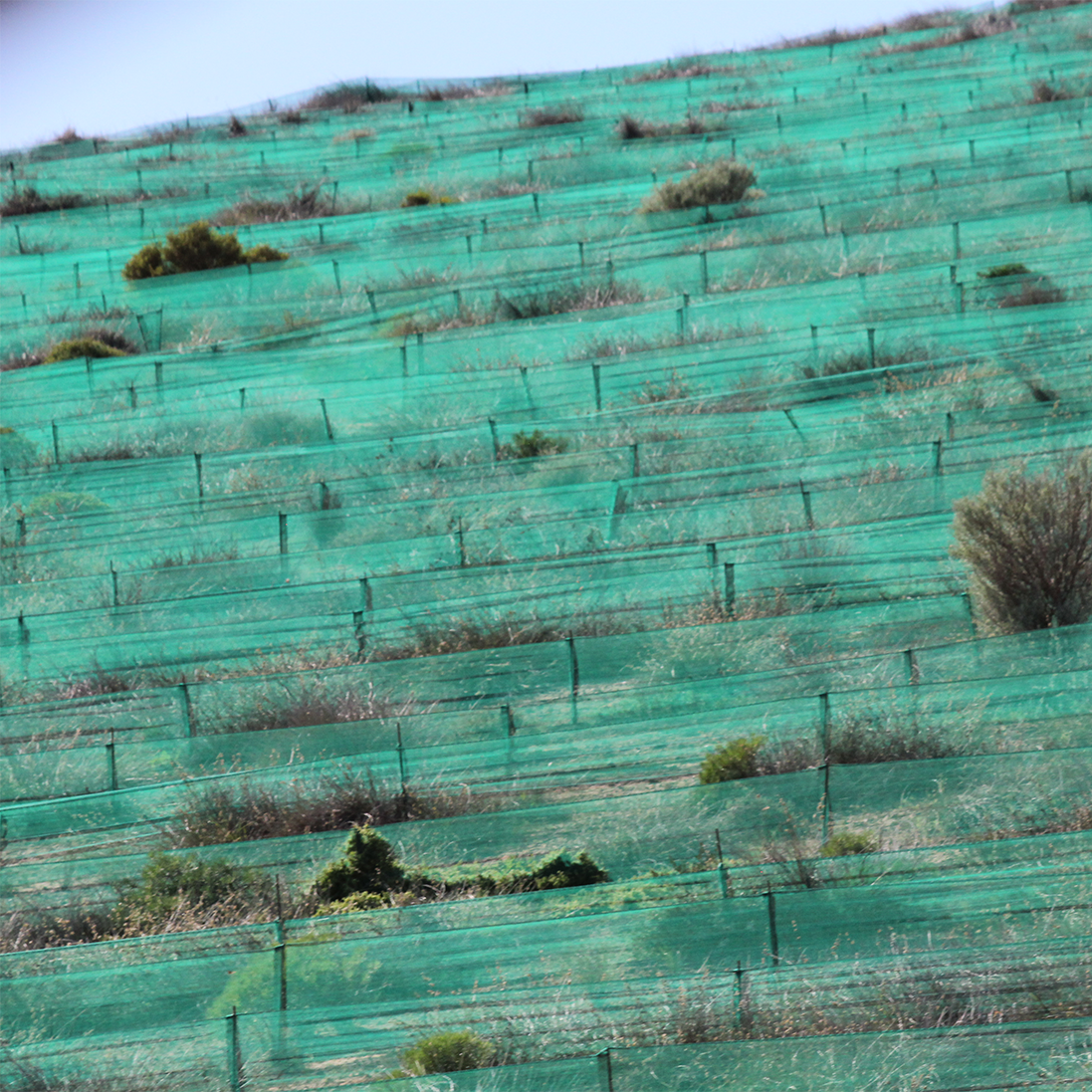 Greater awareness and action required to address desertification and restore habitats