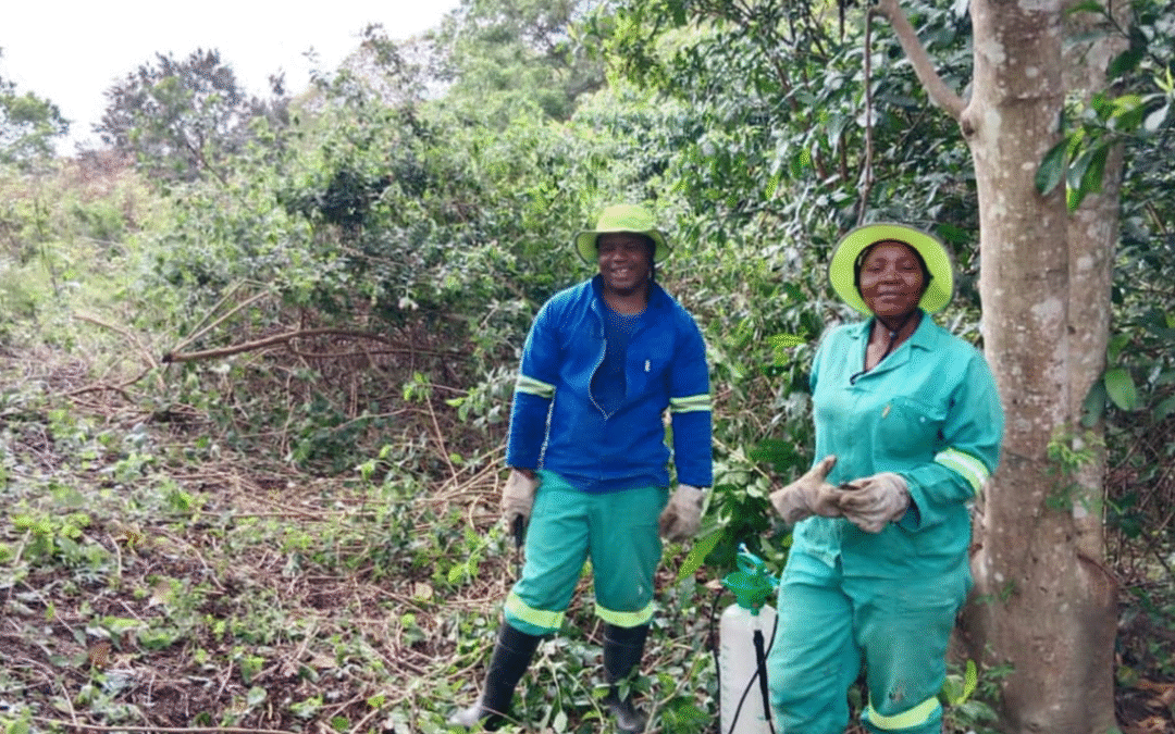 Restoring Wetlands, Empowering Communities:  A Resilient Future for Adams Mission