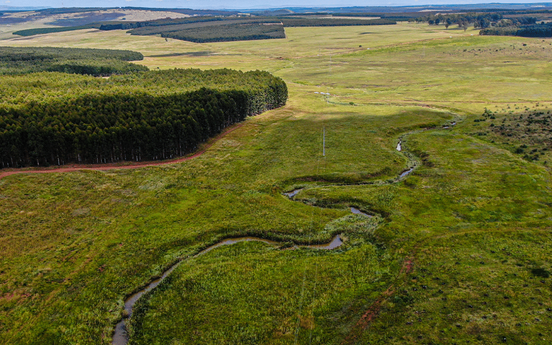 Biodiversity is Everyone’s Business: Aligning Sustainability with Growth