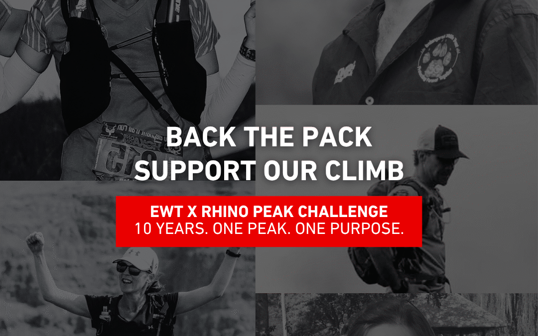 Rhino Peak Challenge 2025
