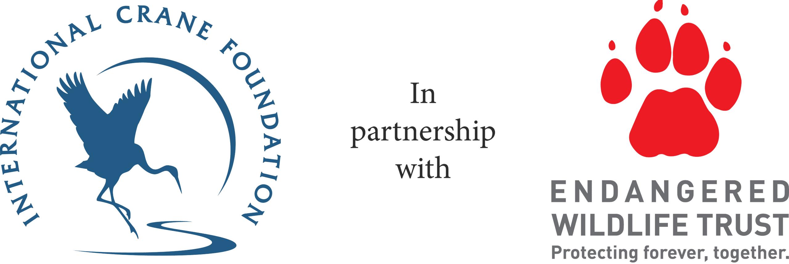 icf ewt logo 2024 -01 Our strategy