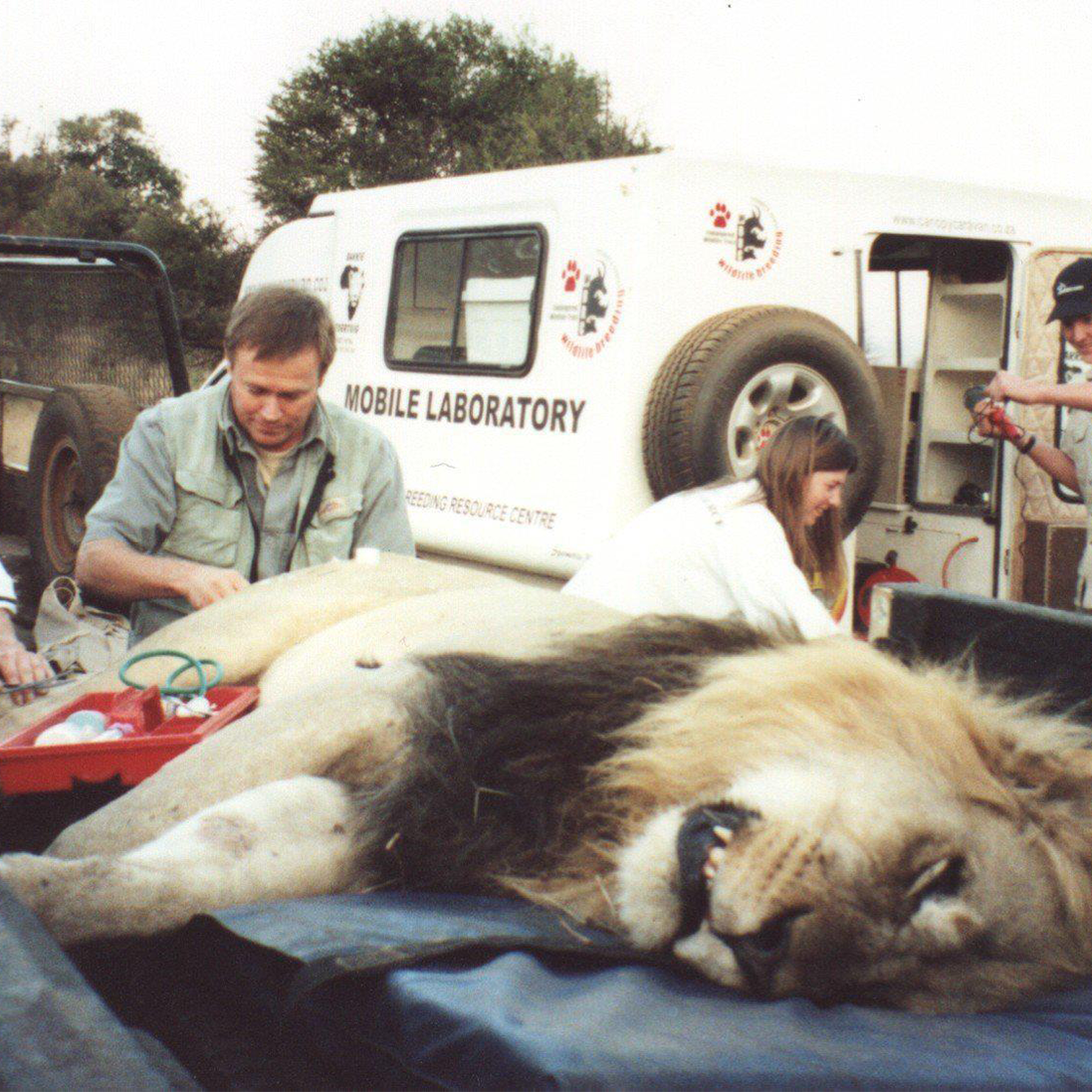 The Endangered Wildlife Trust mourns two former colleagues