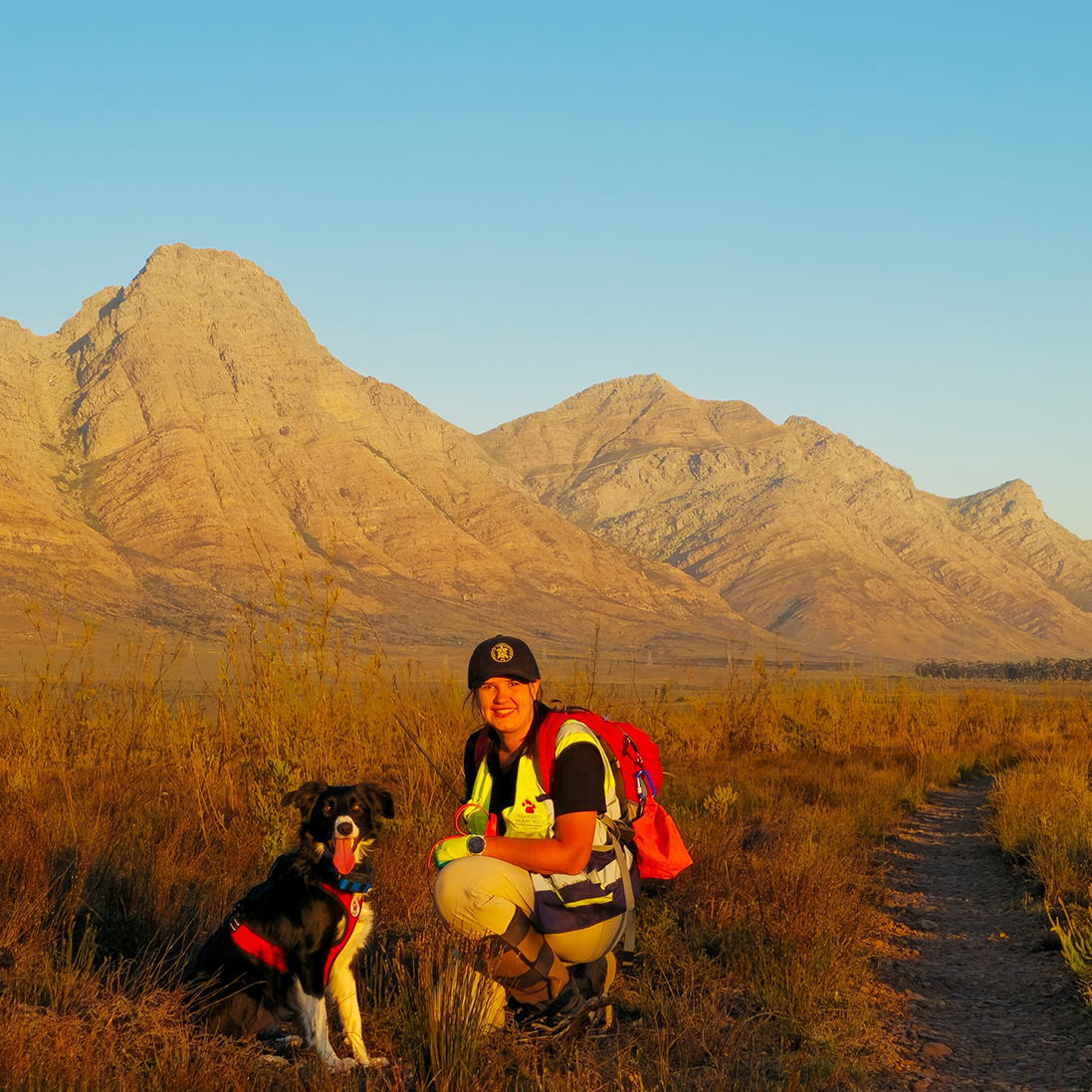 GETTING NOSY FOR TORTOISES – A CONSERVATION RACE