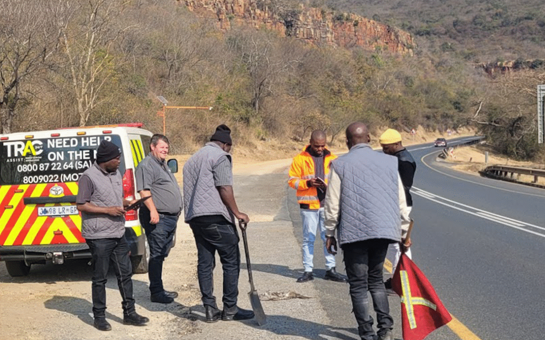 Green roads and highways protect biodiversity