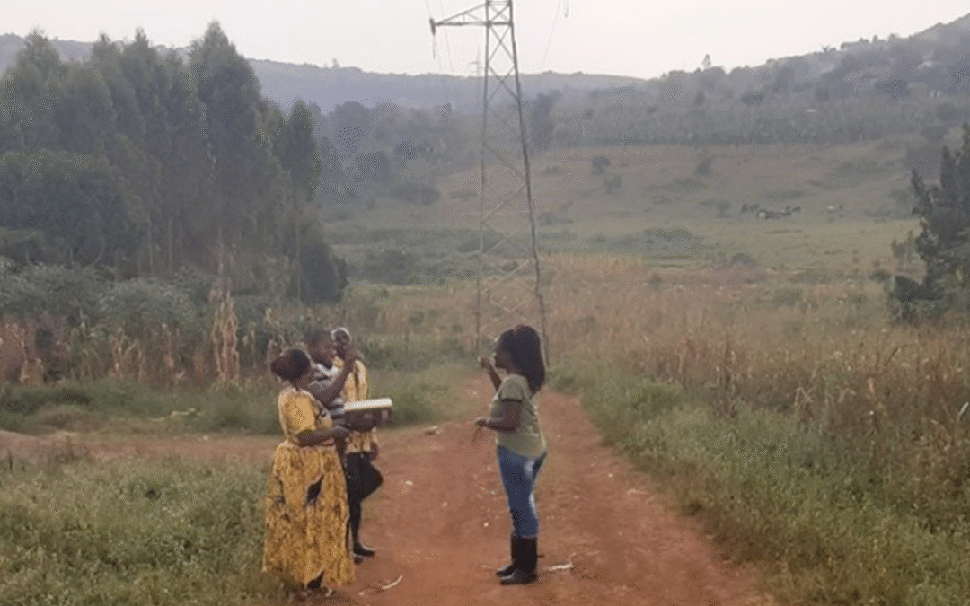 Where roads and wildlife collide: a study from south-central Uganda