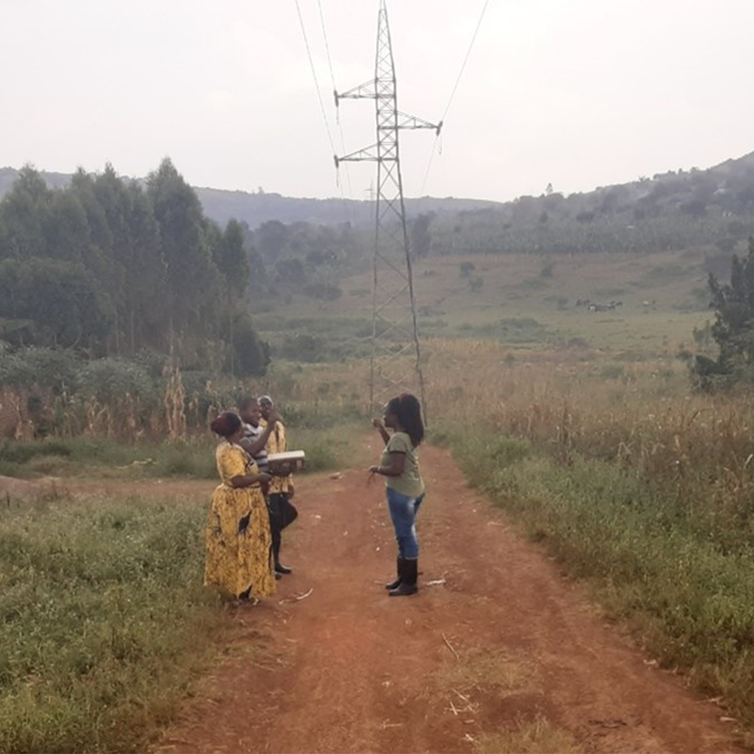 Where roads and wildlife collide: a study from south-central Uganda