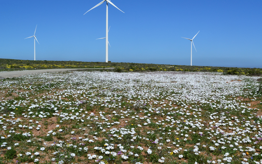 Biodiversity and Business Unit contributes to development of South Africa’s National Biodiversity Strategy and Action Plan