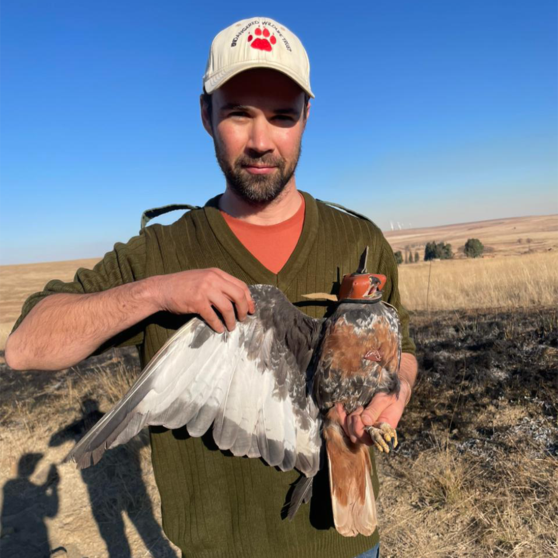 Wings and Wind: Tracking Birds to Guide Safer Wind Energy Development in Mpumalanga