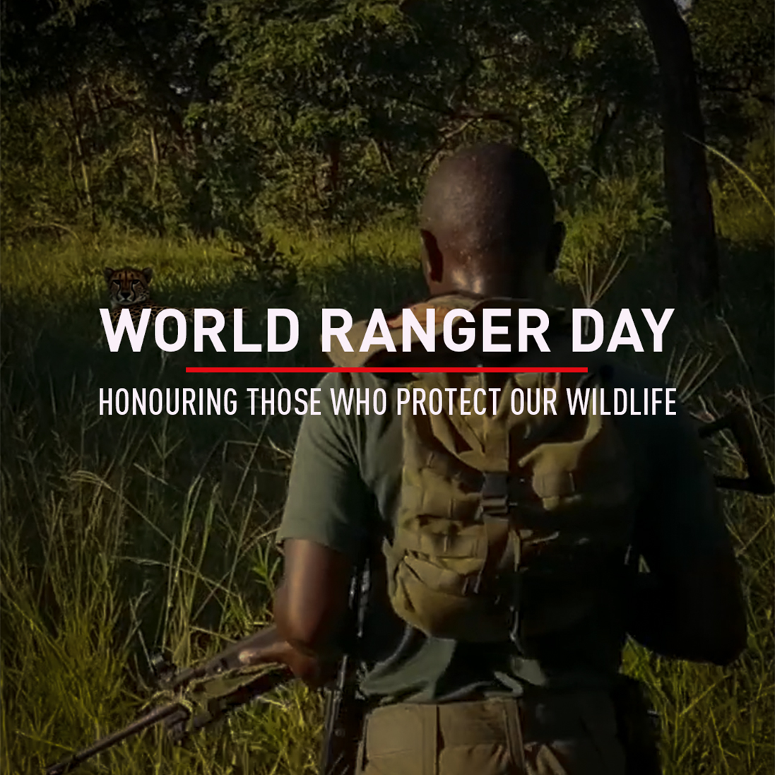Saluting Rangers across the World