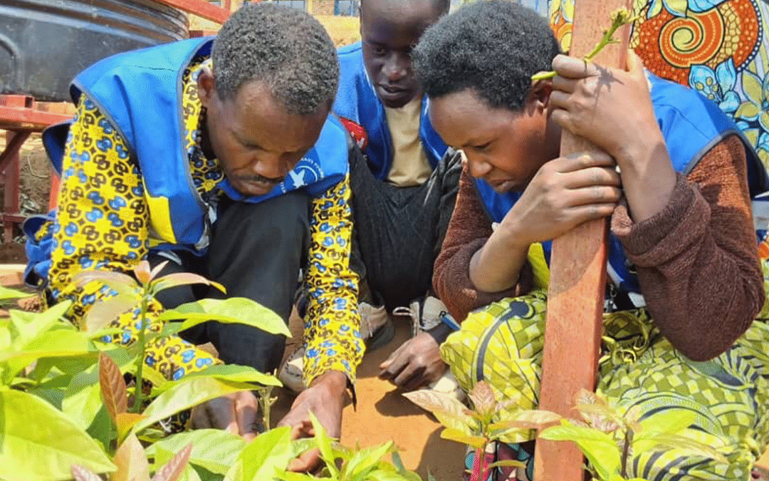 Rugezi Marsh Report shows importance of scaling up transformational conservation Interventions