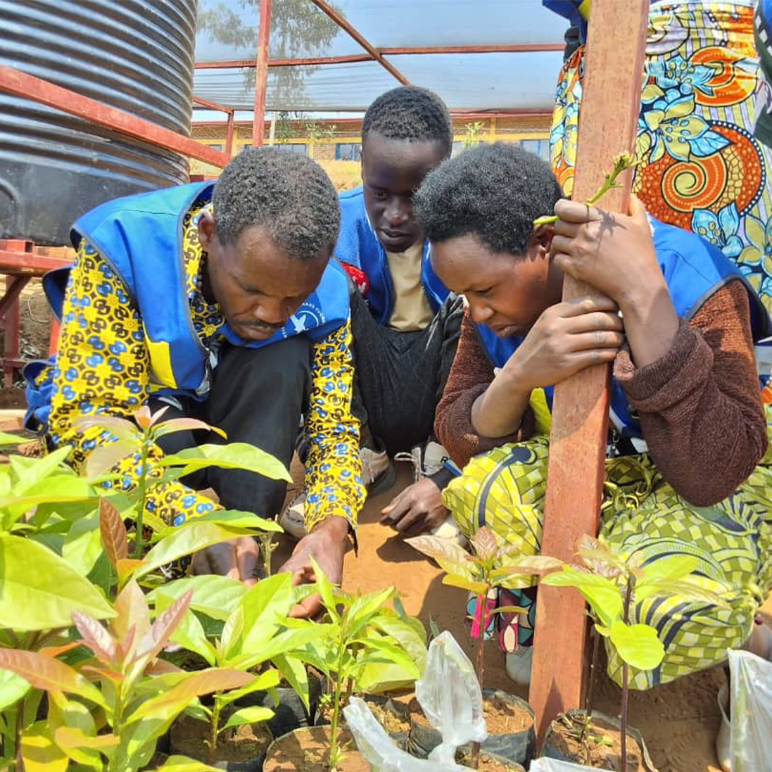 Rugezi Marsh Report shows importance of scaling up transformational conservation Interventions