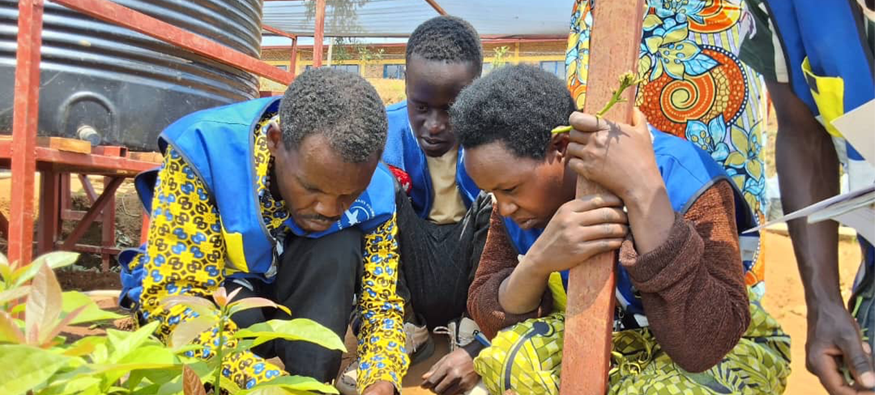 Sustainable agriculture practices at Rugezi Marsh to support conservation