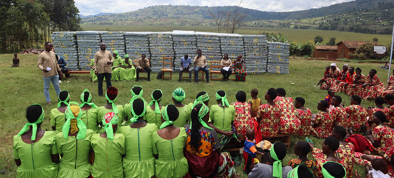 Rugezi Marsh conservation protecting Grey Crowned Cranes in Rwanda