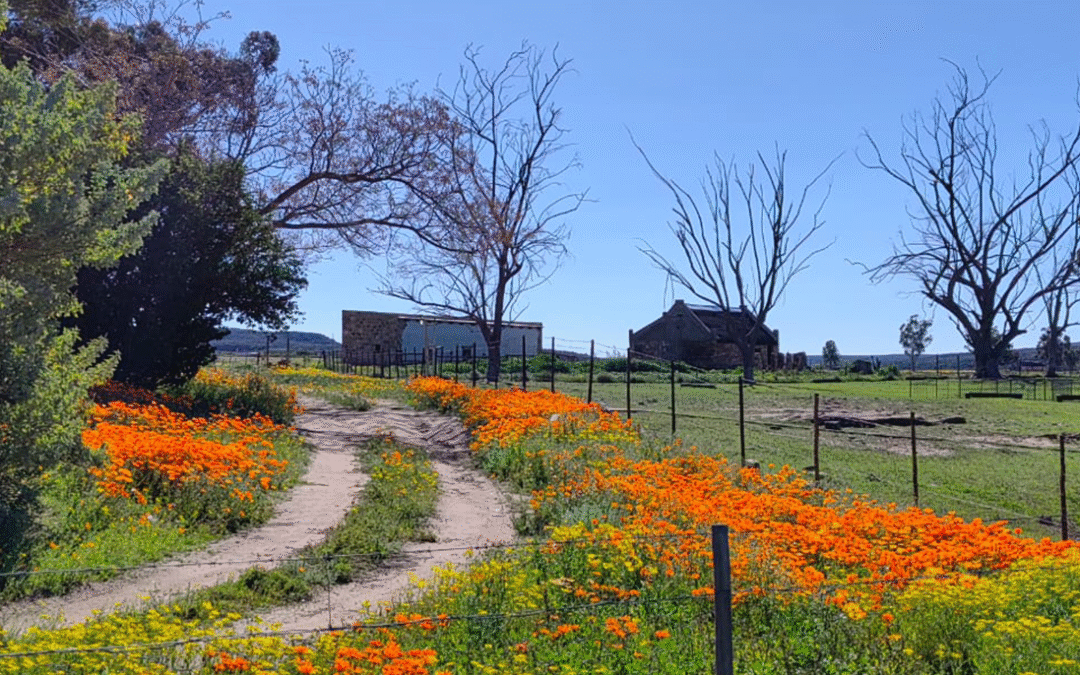 First Conservation Servitude Wholly Initiated by the EWT Registered in the Northern Cape