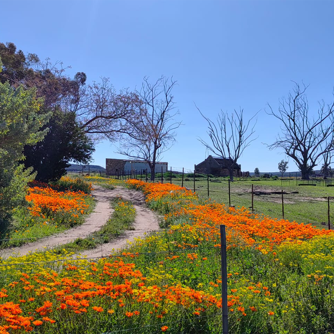 First Conservation Servitude Wholly Initiated by the EWT Registered in the Northern Cape