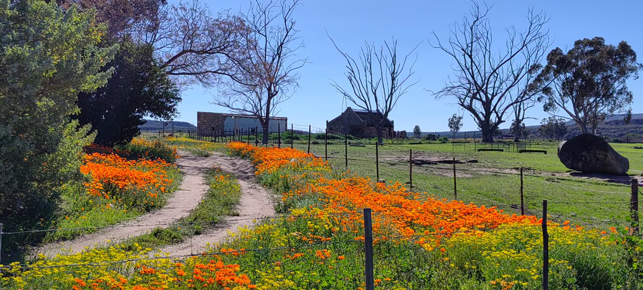 Northern Cape biodiversity conservation through Lokenburg Conservation Servitude