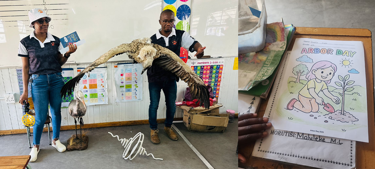 Blue Crane and vulture models used for bird conservation education