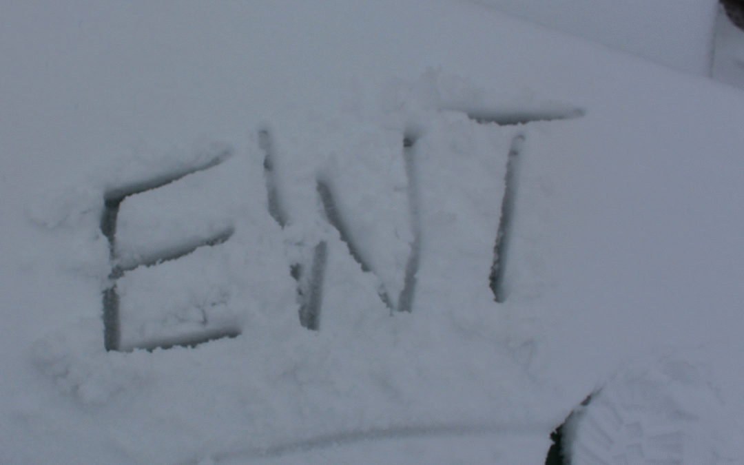 A cancelled event, storms, bad roads, no communication and vultures