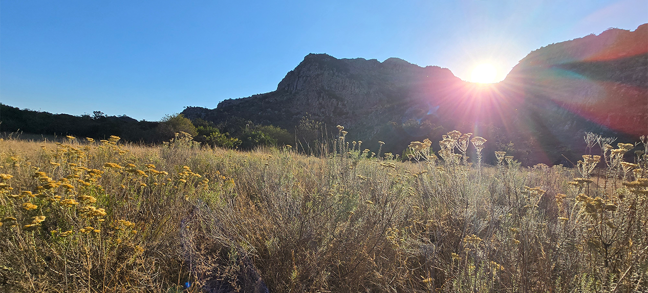 Sunset view from the Old Salt Trail Soutpansberg